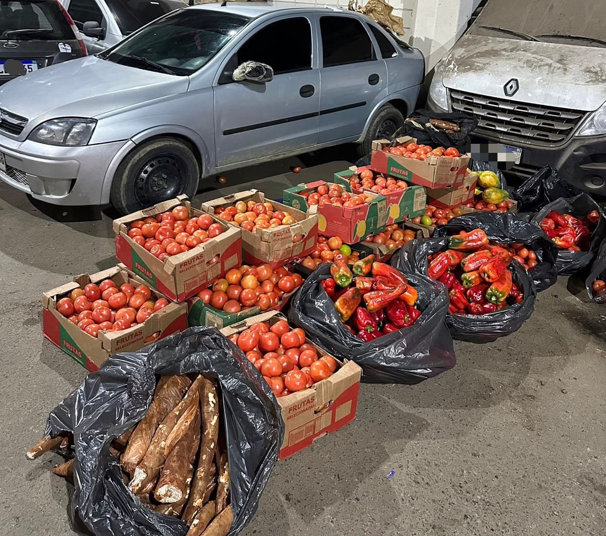 Maldonado: Aduanas incautó frutas y verduras en infracción