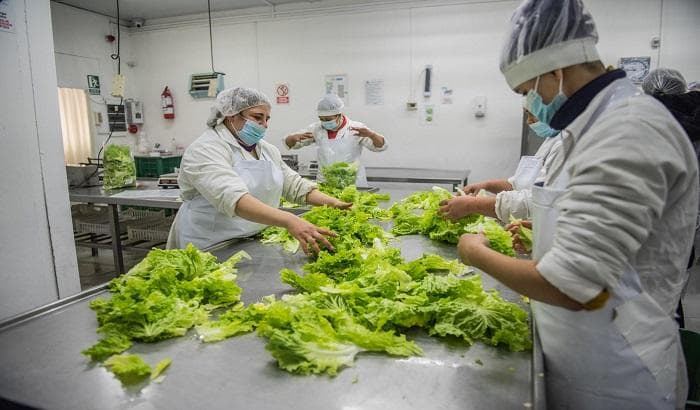 Prueba teórica para carné de manipulación de alimentos en San Carlos