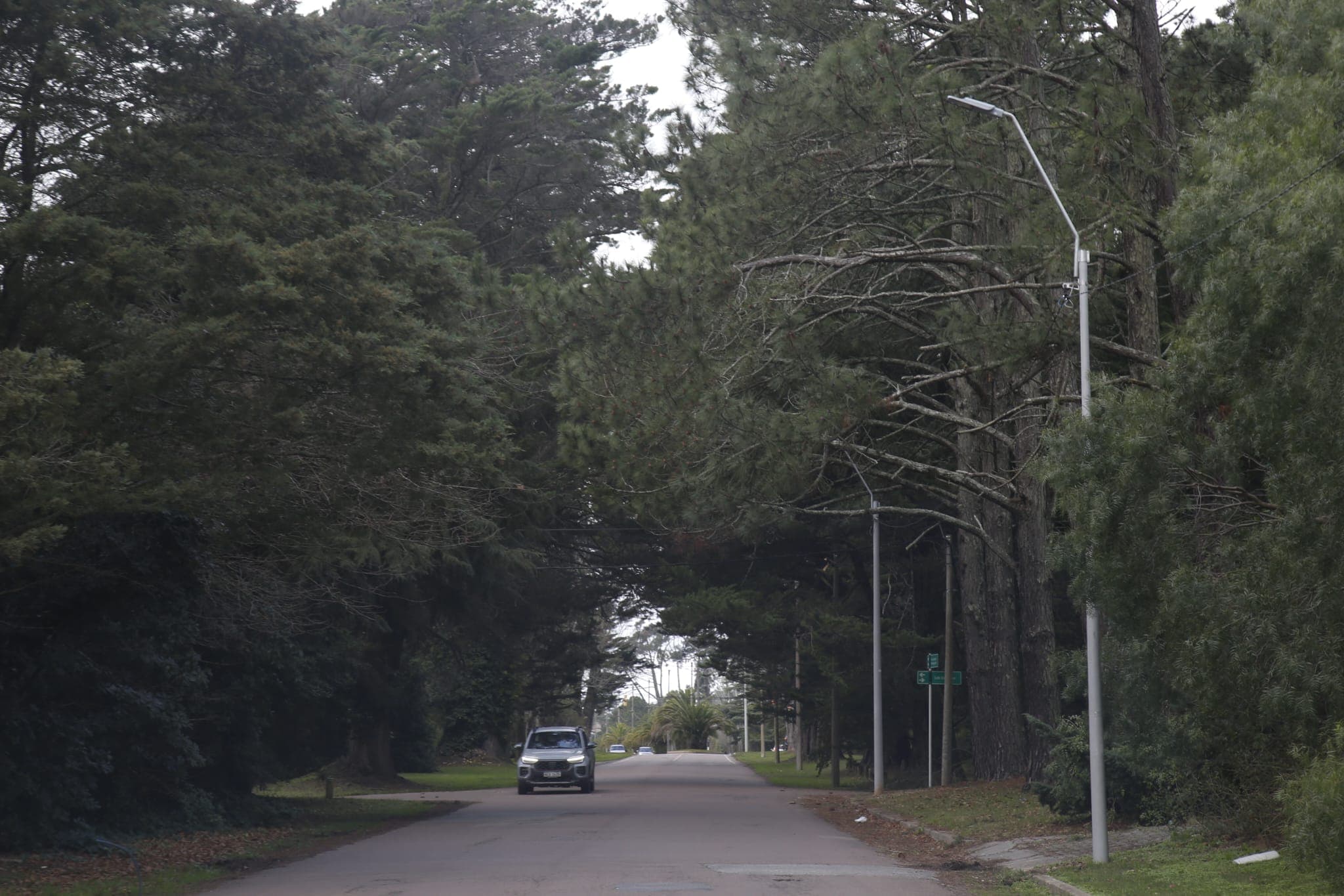 Concretan más iluminación para Punta del Este