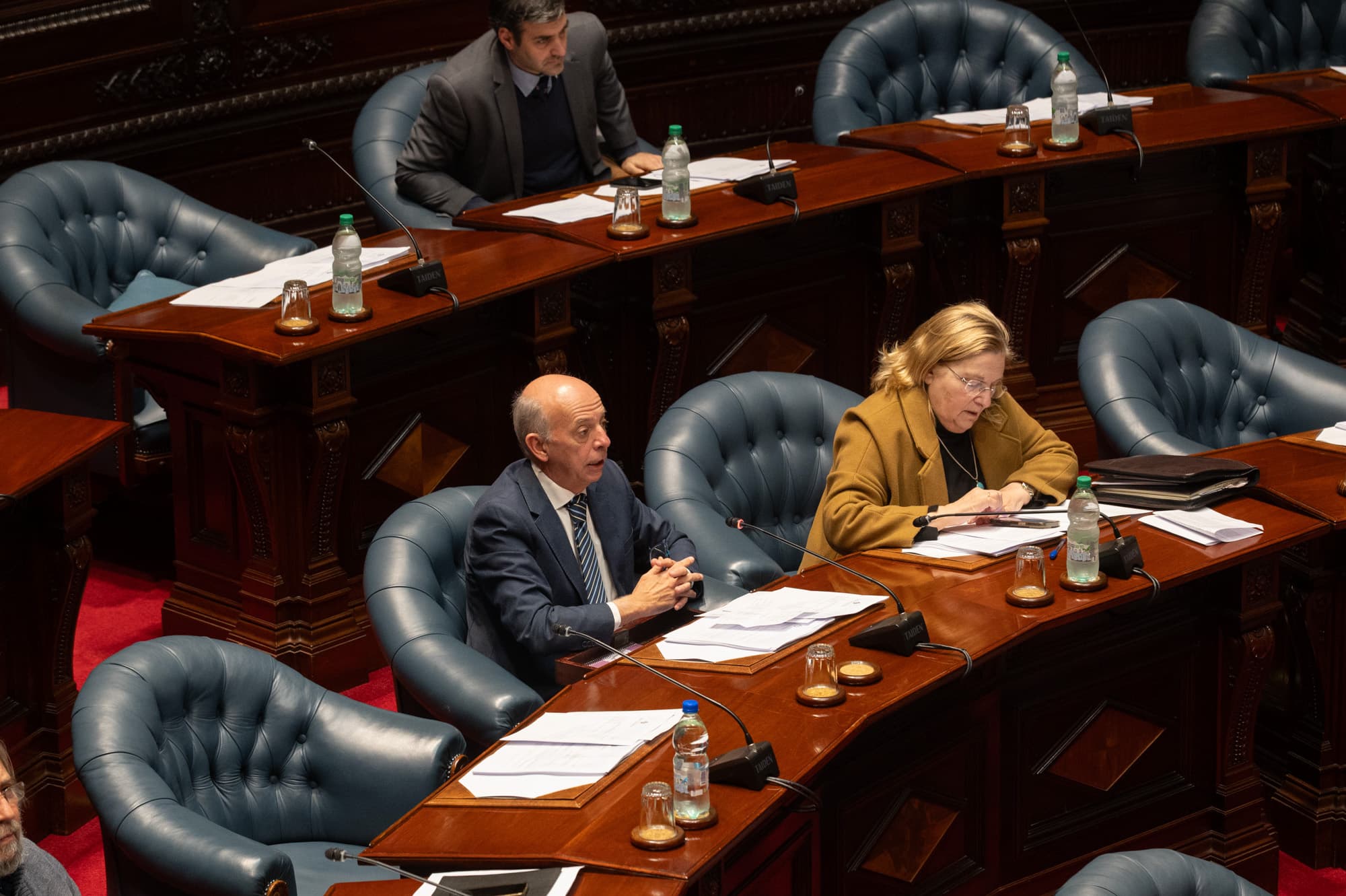 Senado aprobó invitación formal al Papa León XIV para exponga en el Parlamento