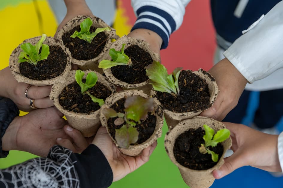 Rendición de cuentas propone declarar a junio como "Mes del Ambiente".