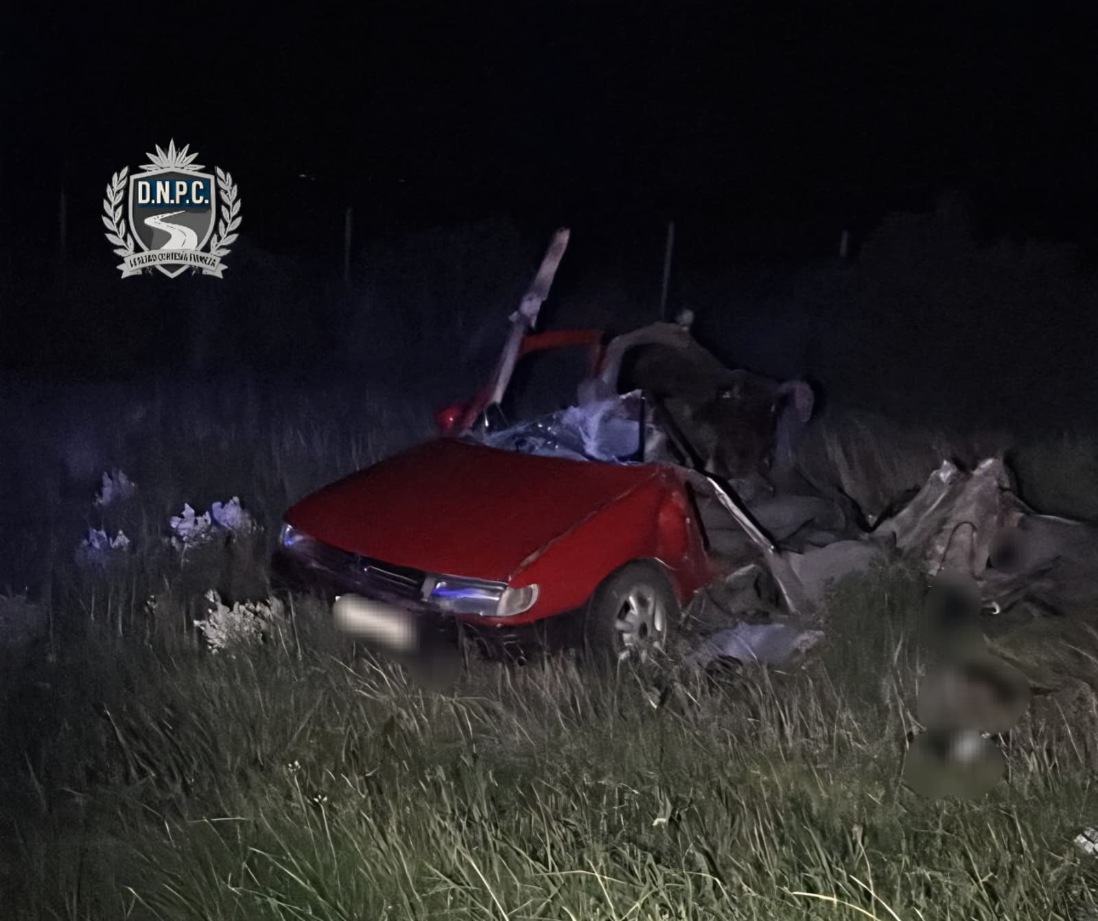 Tragedia en Florida; cuatro muertos en un choque