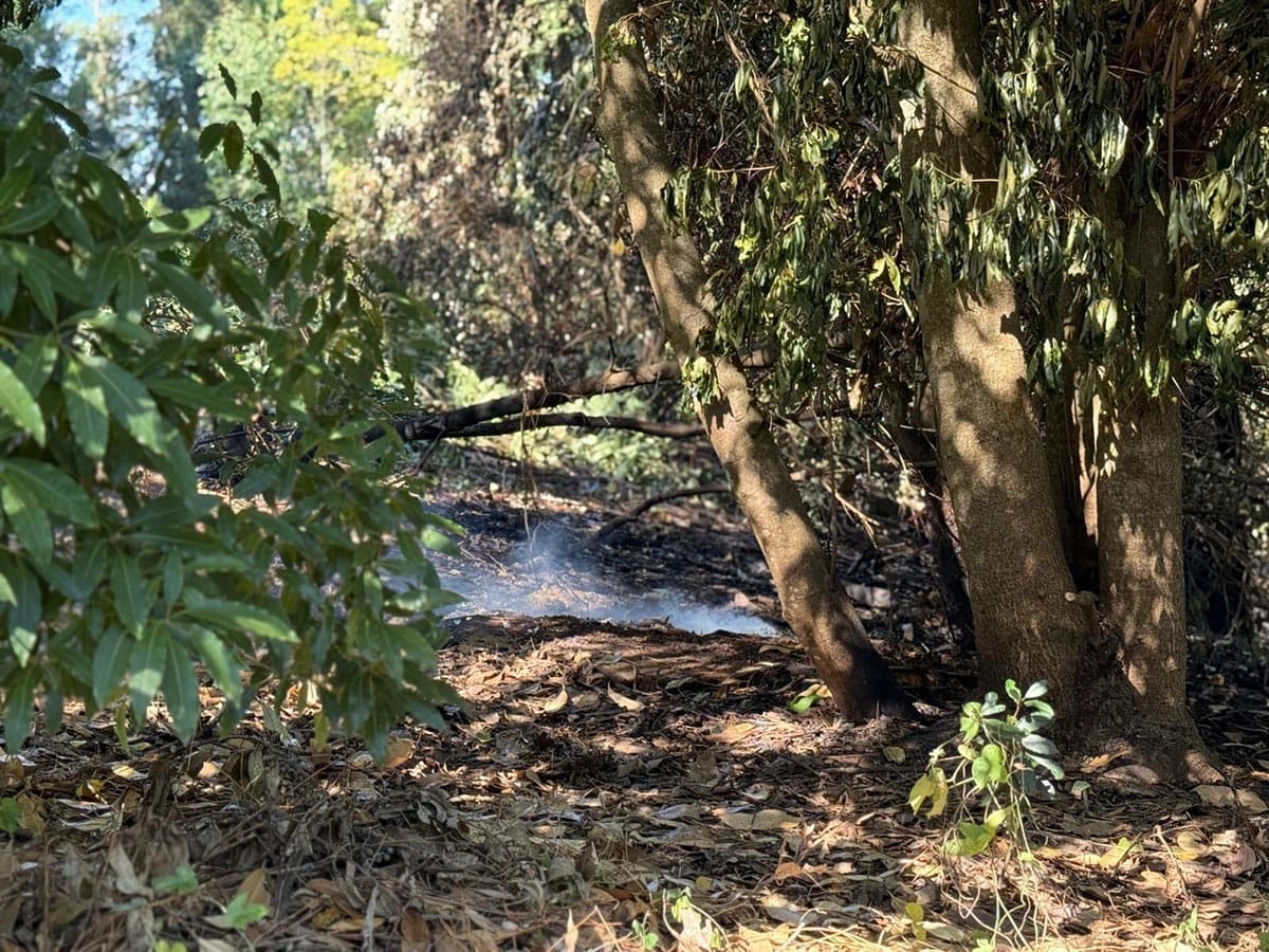 Prohibición para la realización de quemas rige hasta el 30 de abril